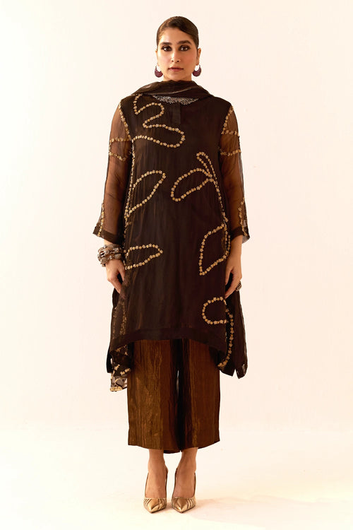 Black Organza Kurta Set