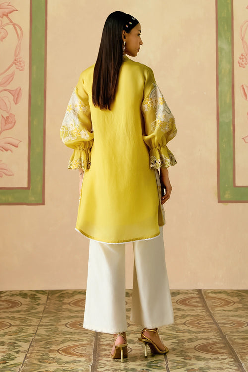 Yellow and Ivory Tunic with Sheer Applique Pants