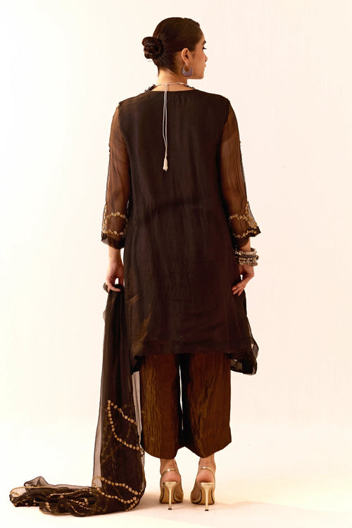 Black Organza Kurta Set