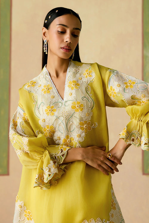 Yellow and Ivory Tunic with Sheer Applique Pants