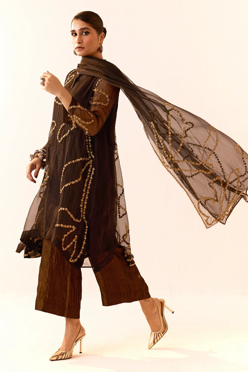 Black Organza Kurta Set