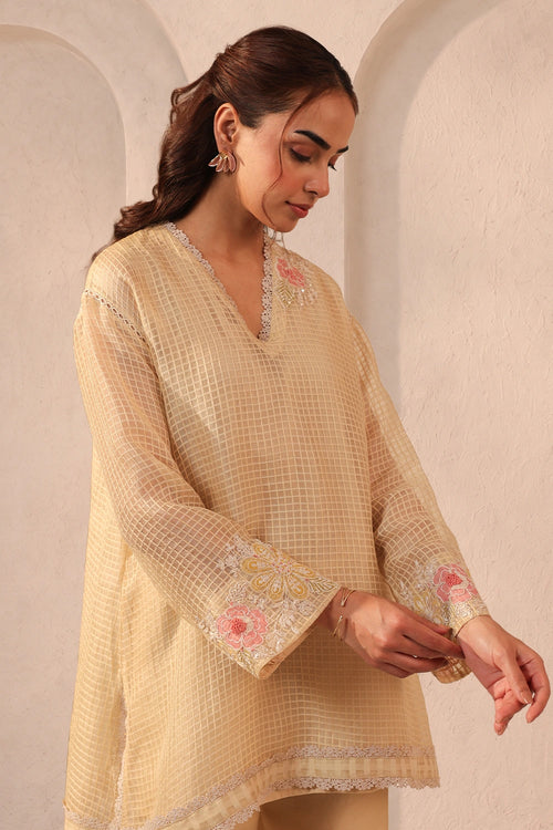 Vaayu Beige Applique Co-ord Set