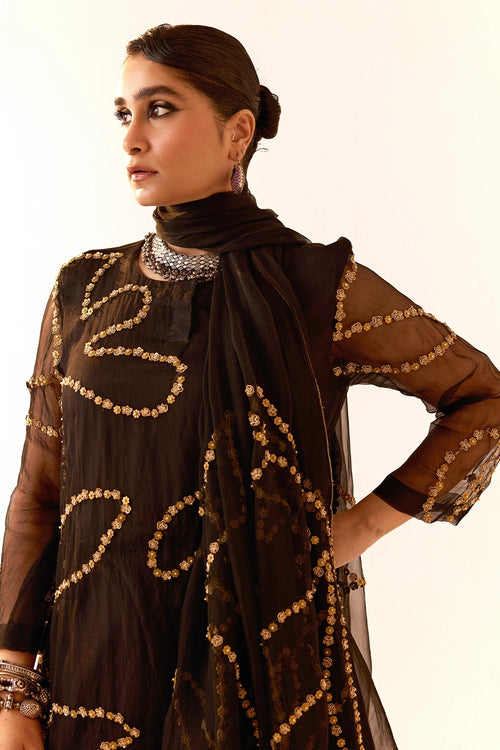 Black Organza Kurta Set