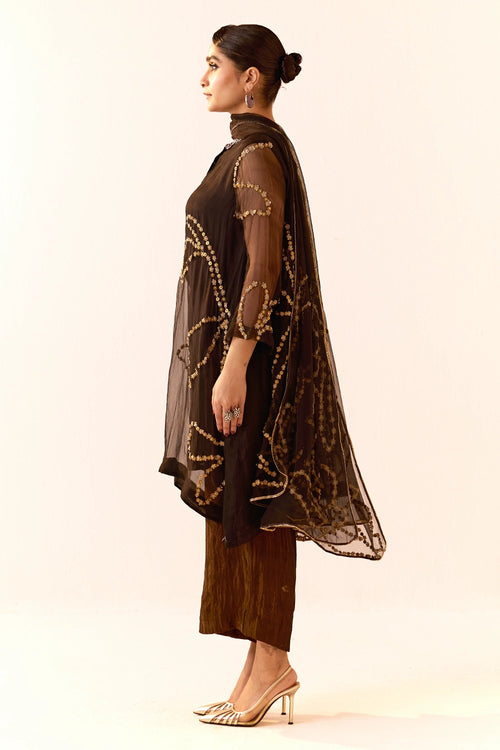 Black Organza Kurta Set