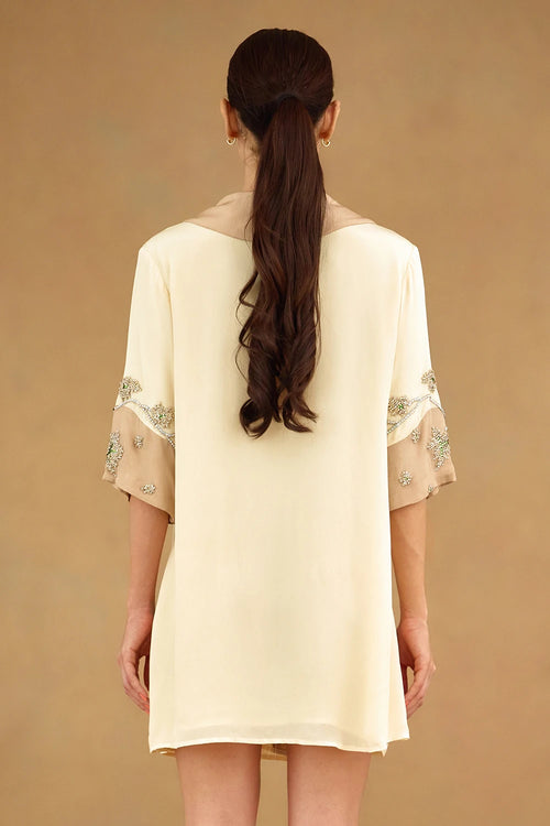 Ivory Embroidered Dress