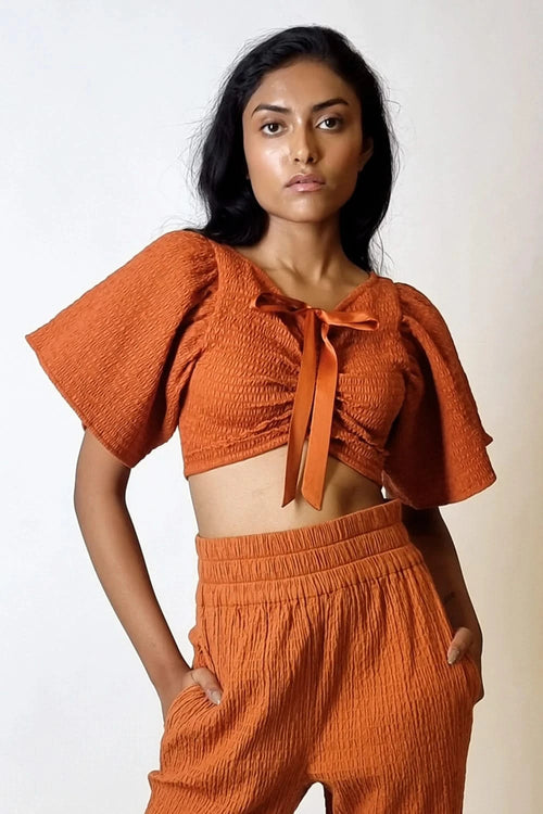 Terracotta Smocked Crop Bow Top