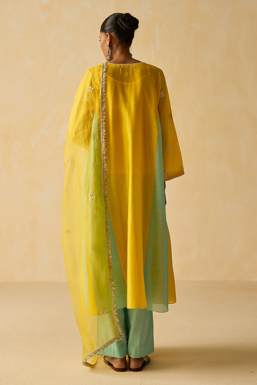 Reha Kurta Set