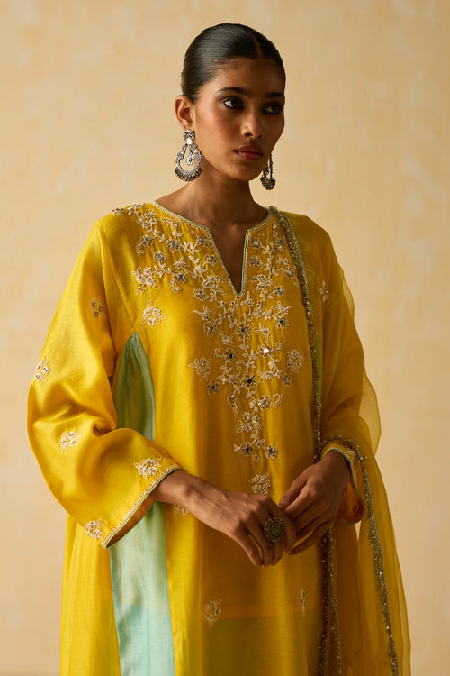 Reha Kurta Set