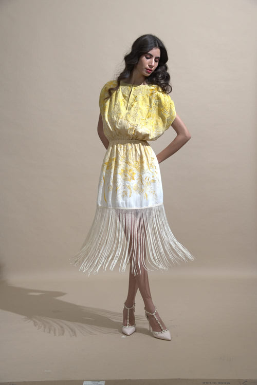 Ombre Fringe Mini