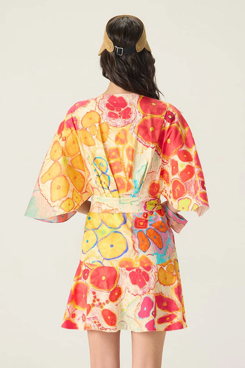 Multi Selia Dress