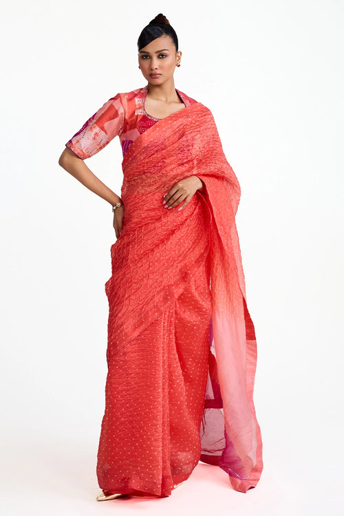 Organza Bandhani Saree with Boro Blouse