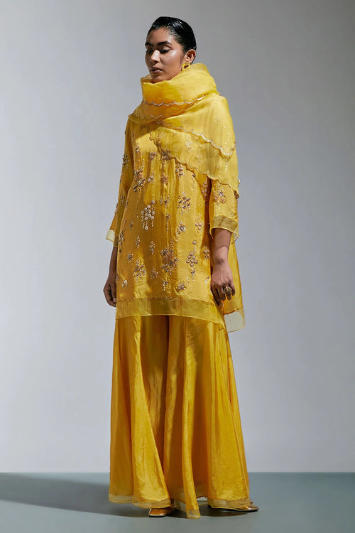 Amber Scalloped Organza Dupatta