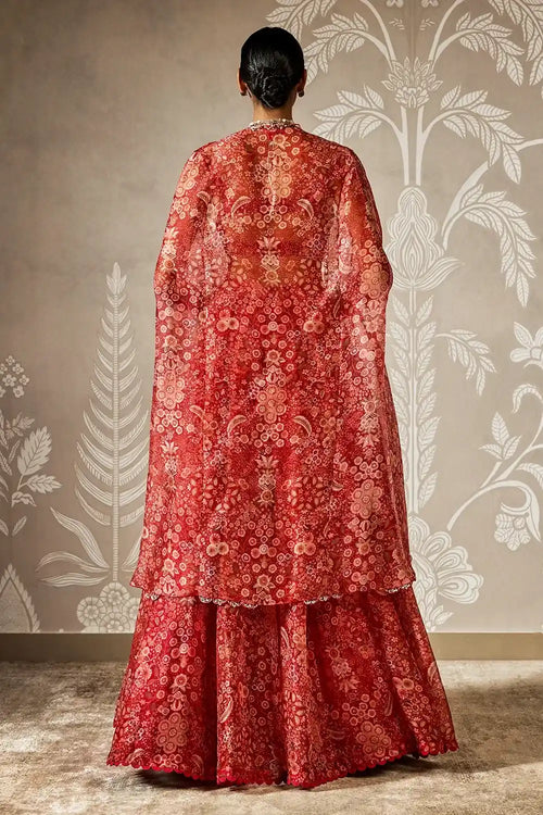 Ziba Lehenga Set