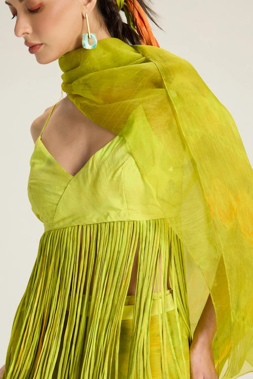 Lime Greenraven Blouse With Agatha Sari