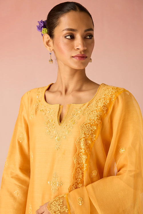 Orange Glow Bahaara Long Kurta Set