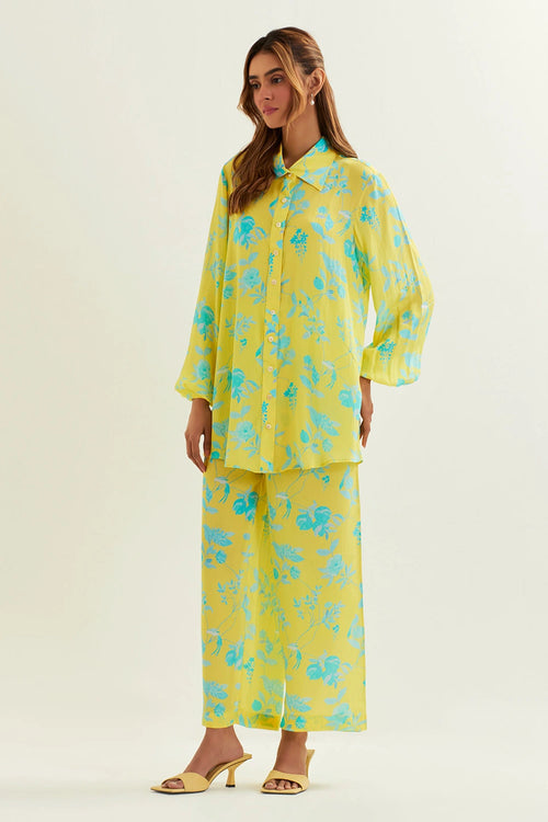Difoda Shirt With Pant Set