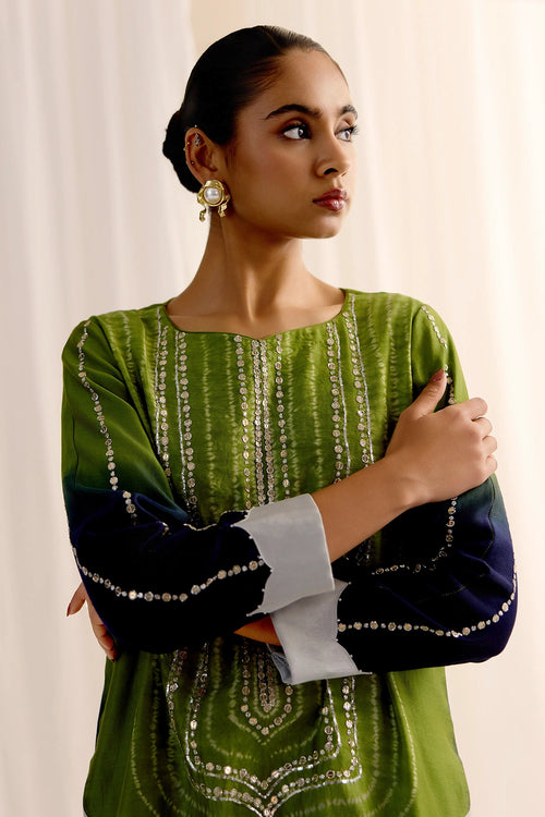 Neel Bagh Kurta Set