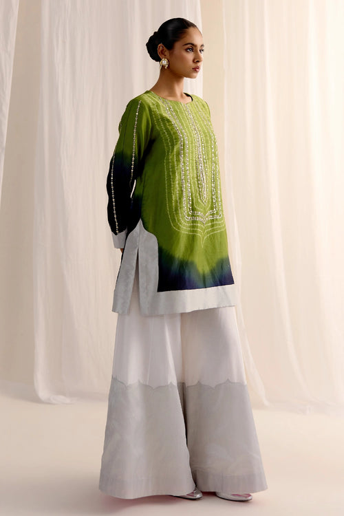 Neel Bagh Kurta Set