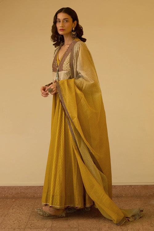 Dhara Dupatta