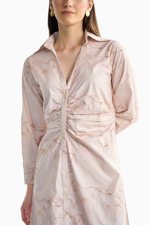 Poplin Pink Pleated Shirt Midi Dress