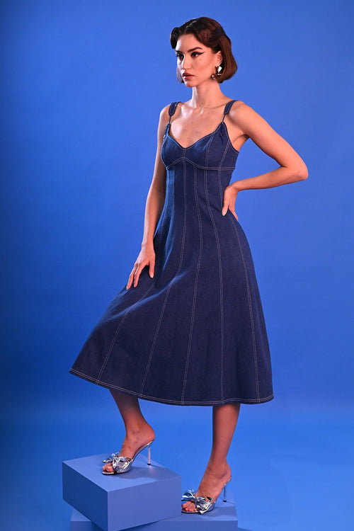 Vericale Denim Dress
