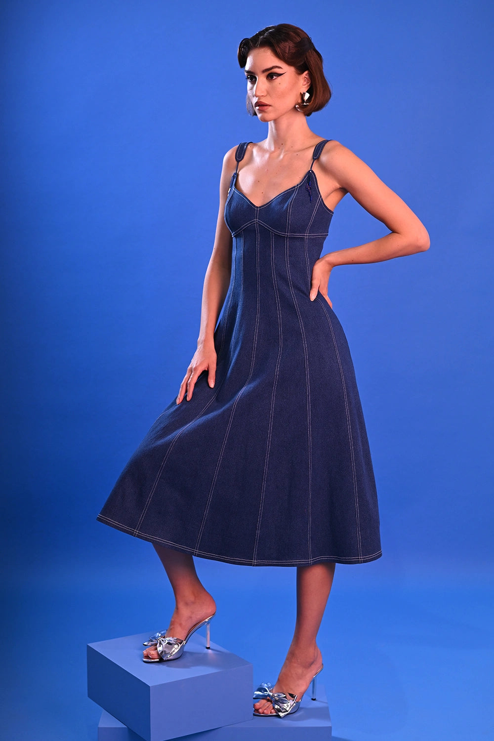 Vericale Denim Dress