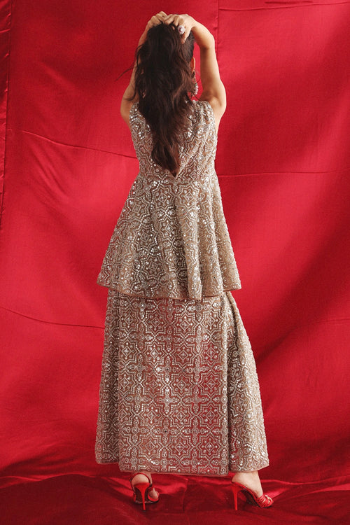Silver Tulle Skirt Pants