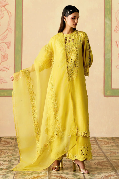 Yellow Cutwork and 3D Floral Kurta Set with Dupatta