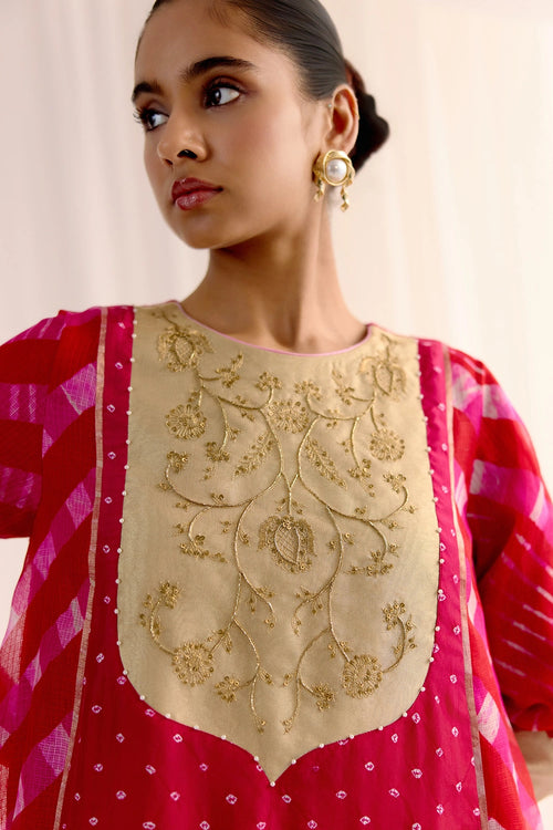 Rang-E-Gulab Kurta Set