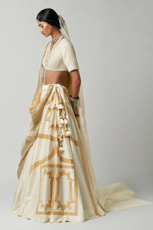 Amara Jahanara Lehenga Set