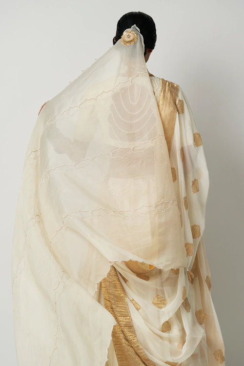 Amara Jahanara Lehenga Set
