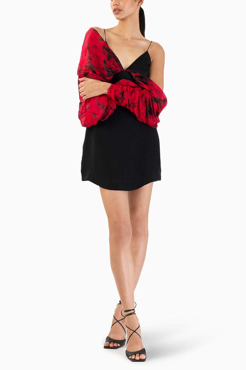 Scarlet Shadow Mini Dress