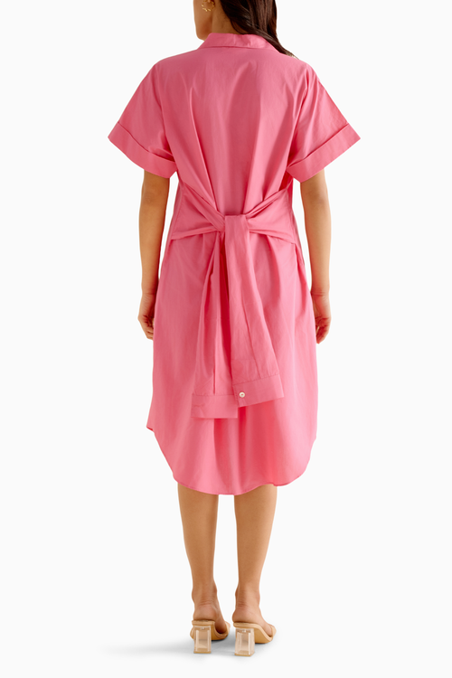 Salmon Dress
