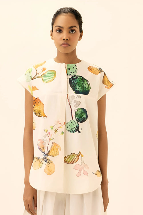 Multicolor Amaryllis Top