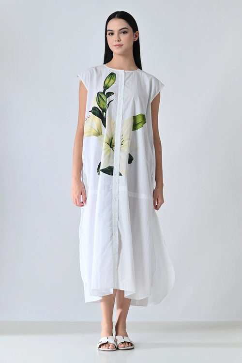 Soft Ivory Floral Printed Dress