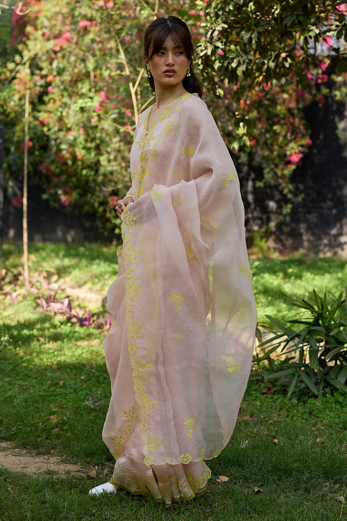 First Light Pink Embroidered Saree With Blouse