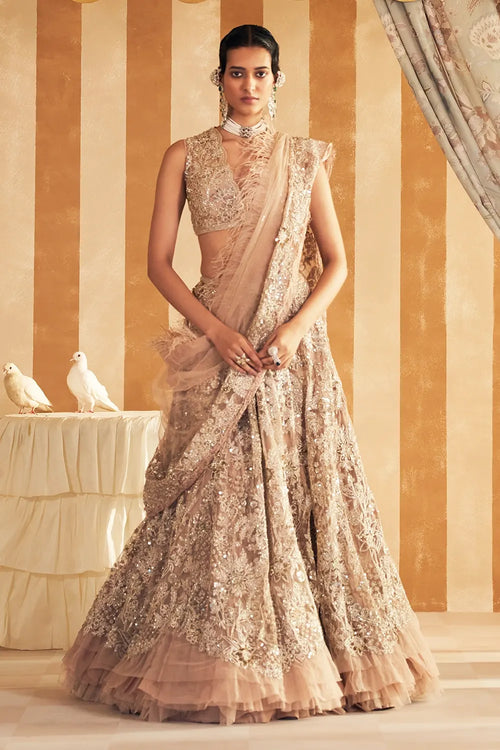 Inaara Champagne Lehenga Set