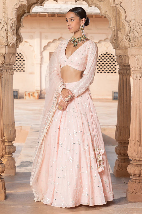 Blush Pink SK-BK Lehenga with Embroidered Dupatta