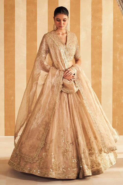 Zarina Gold Tissue Lehenga Set