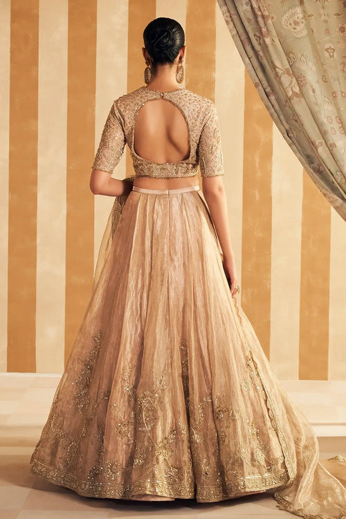 Zarina Gold Tissue Lehenga Set
