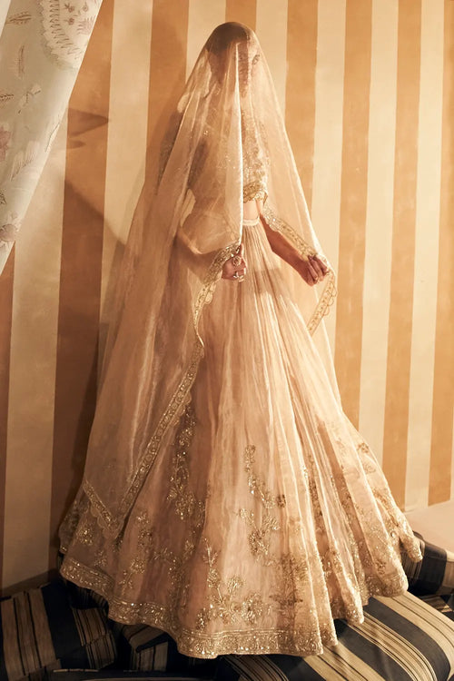 Zarina Gold Tissue Lehenga Set