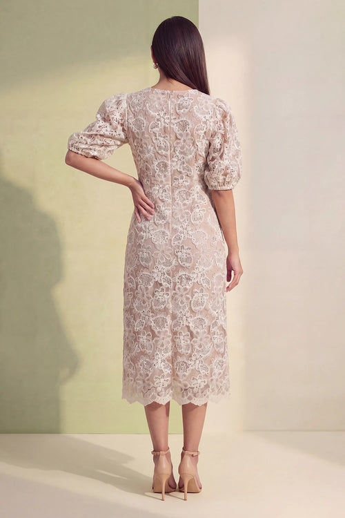 Blush Lace Reverie Dress