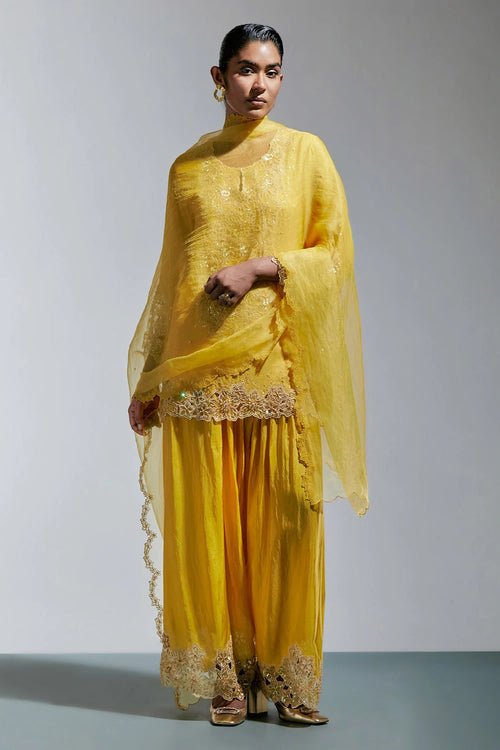Amber Floral Embroidered Organza Dupatta