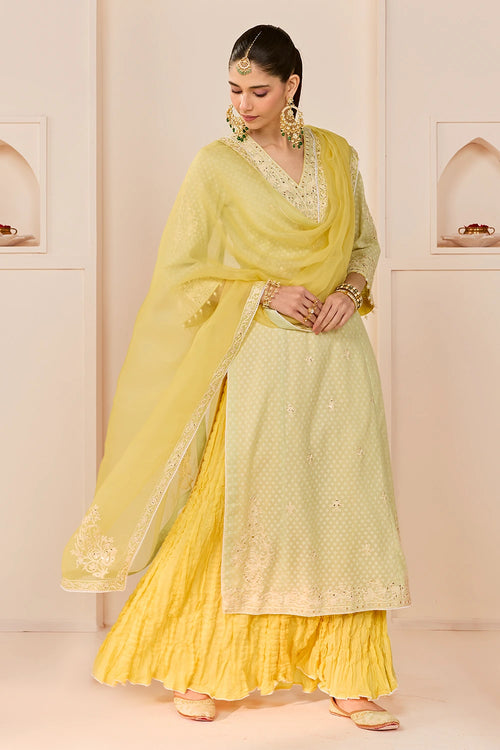 Ruhani Mint Green Long Kurta with Skirt and Dupatta