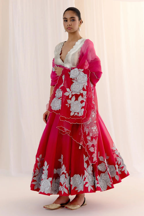 Roshanara Odhni