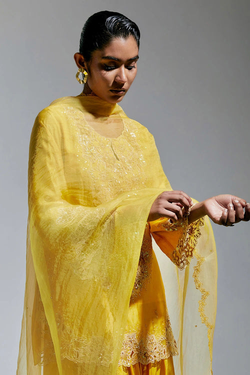 Amber Floral Embroidered Organza Dupatta