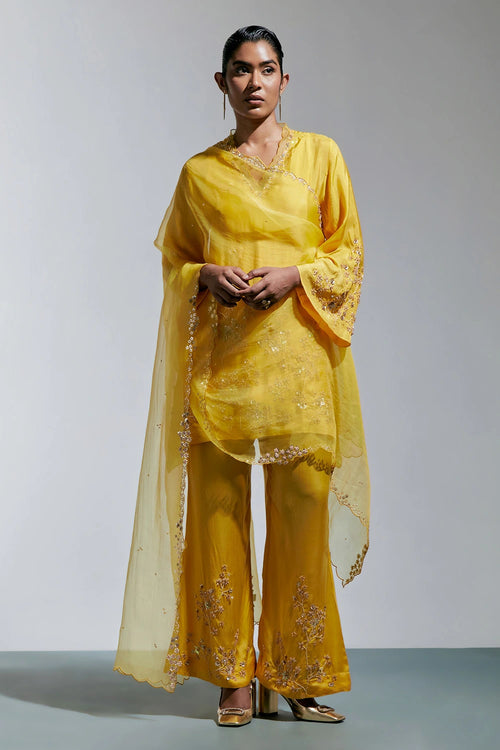 Amber Hand-Embroidered Organza Dupatta