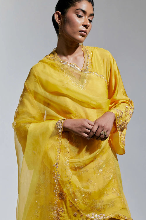 Amber Hand-Embroidered Organza Dupatta