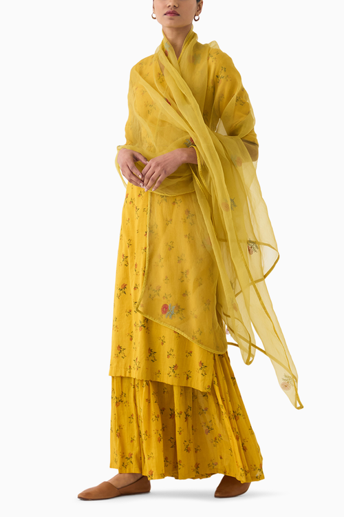 Chintz Yellow Sharara Set