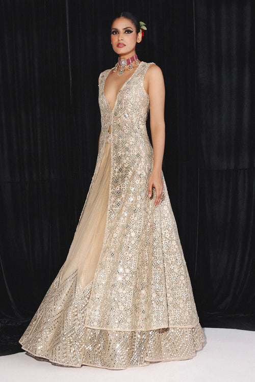 Gold Diamond Applique Lehenga Set